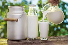 Fresh Milk