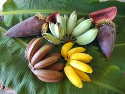 Organic Bananas